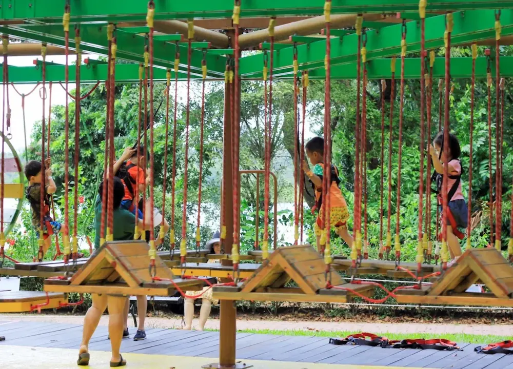 停不下來得九官鳥