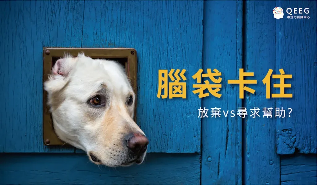 大腦經過訓練後有無限可能