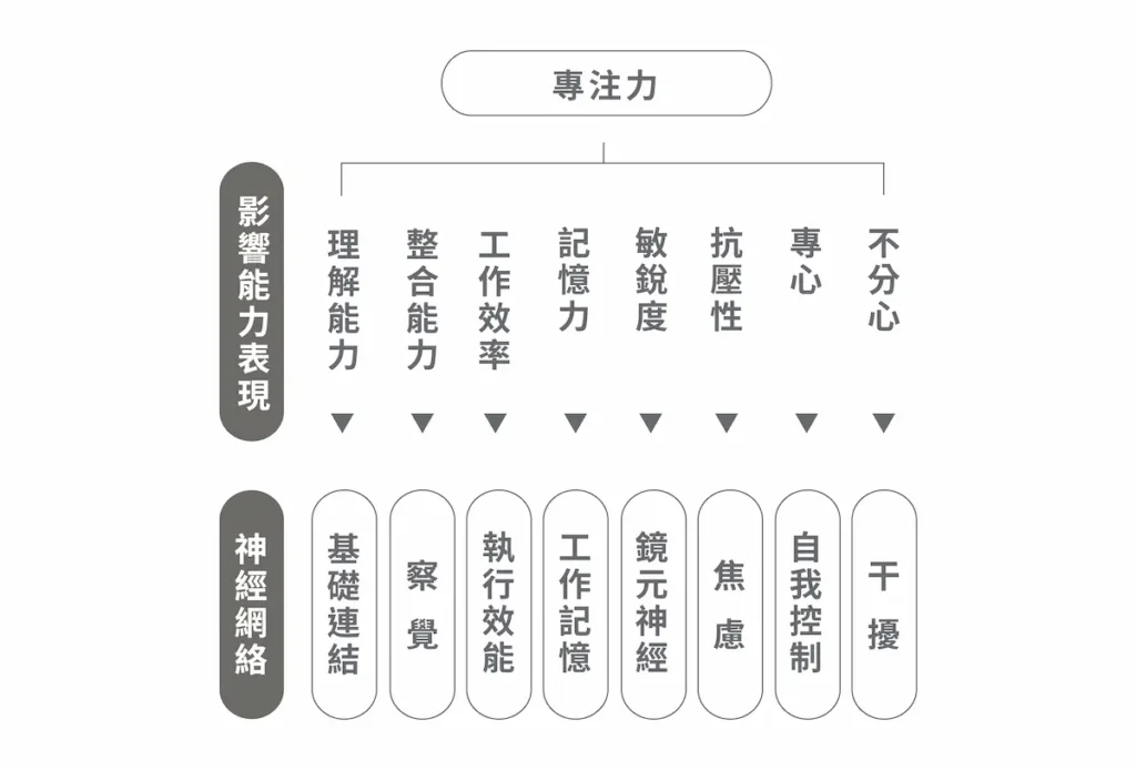 大腦後天再訓練！從掌管思想與意識的神經網絡改善