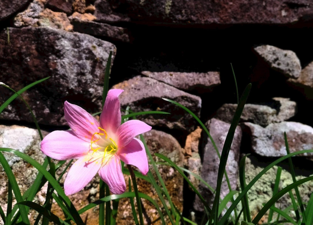 自閉症成人也能有自己的天空