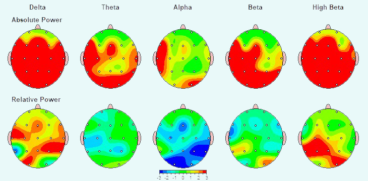 【科學腦效能訓練】(6歲以上～成人)