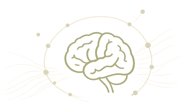 brain-assessment2 14 大腦結構圖