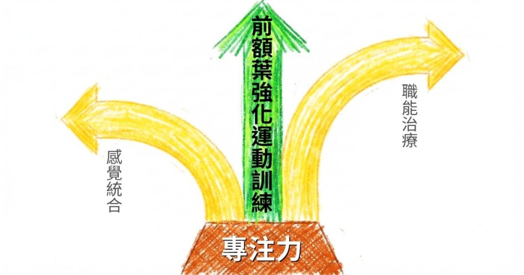 以專注力為基礎的三種訓練取向：感覺統合、職能治療，以及前額葉強化暨核心肌群訓練